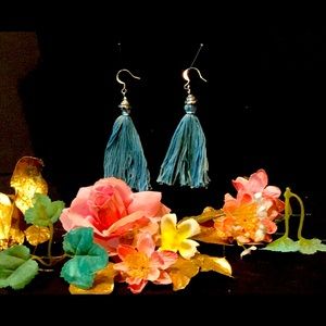 Fringe earrings in multiple different colors